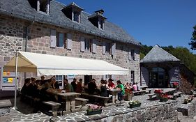 Ferme De Trielle Thiézac